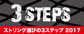 3STEPS 2016